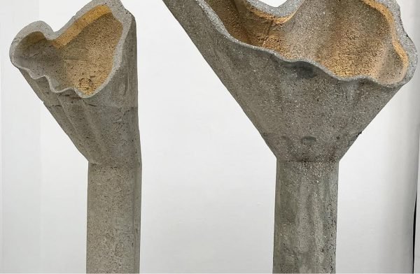 SnapInsta.to_376764485_18365450026067991_256769224034942569_n